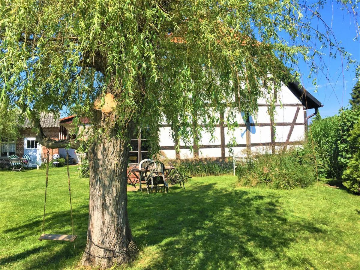 Fischerhaus Godewind 60 Qm Altwarp Exteriér fotografie