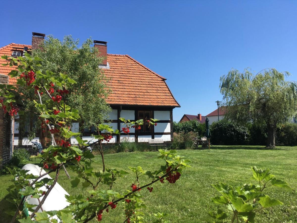 Fischerhaus Godewind 60 Qm Altwarp Exteriér fotografie